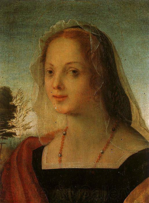 Rosso Fiorentino Portrait of a Young Woman Norge oil painting art